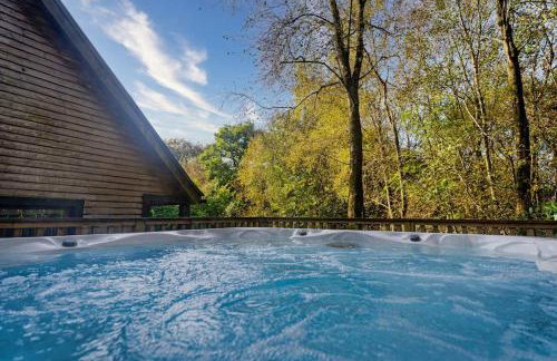 Wootton, woodland lodge with hot tub for 8 - Foto 3