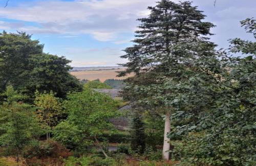 Holiday Home Moselle With Private Sauna - Foto 60