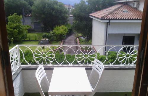 Il nespolo - Photo 7