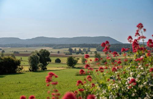 Ferienwohnungen Klettgaublick - Foto 6