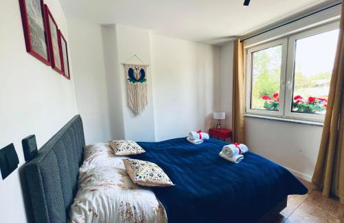 Skoczybruzda Apartamenty - Foto 75