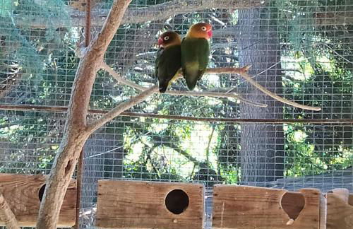 Masia Sagués - Foto 26