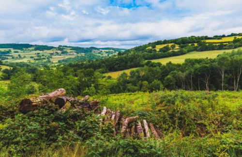 Maison Bourgogne - Foto 28
