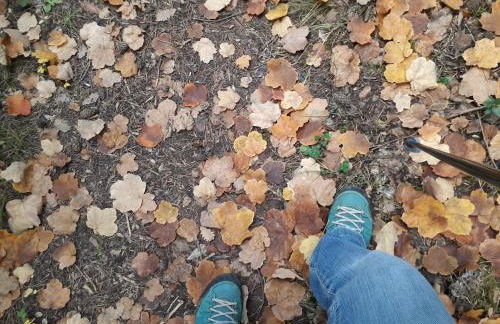 Casa Rural Rebost - Foto 44