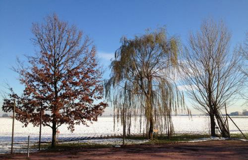 Pet-Friendly Nature Escape - Foto 35