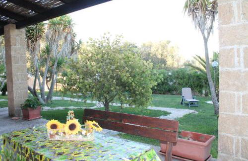 Vecchio Ulivo - Foto 1