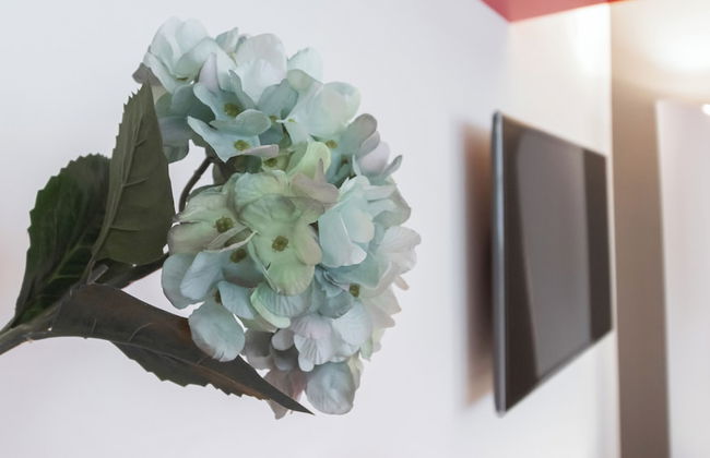 Italianway - Tagiura 8 - Photo 9