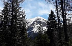 Bouffée d Oxygène - Photo 15