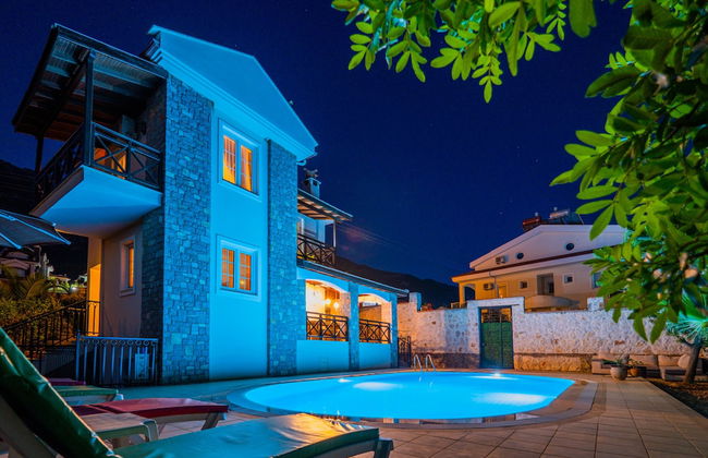 Infinity Flora Villa - Photo 43