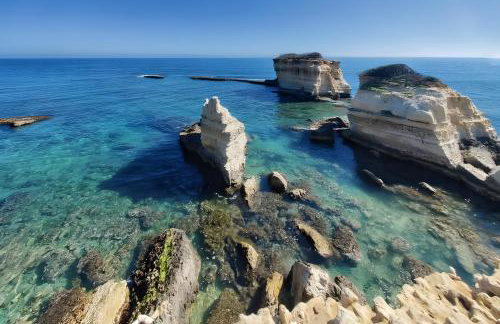 Briamar Residence - Foto 78