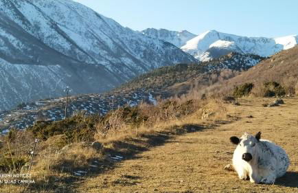 Ferme Can Llull - Foto 13