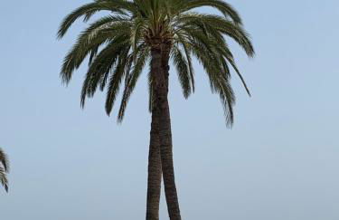 Casa Nido Studio - Photo 32