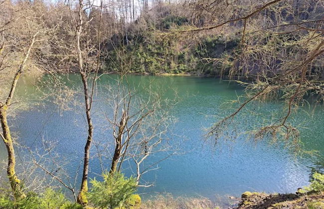 Apartment in Wildemann Near Harz Forest - Foto 34