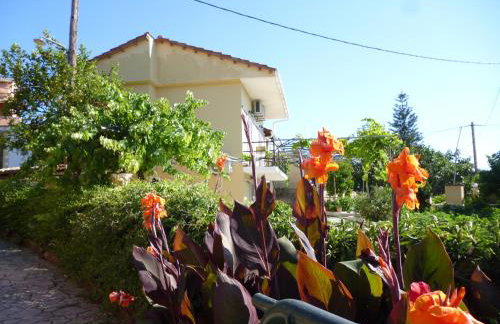 Apartments Giannis Corfu - Foto 11