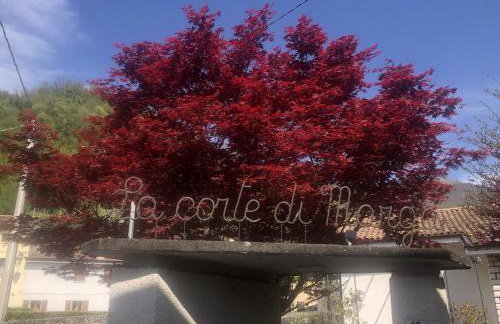 La Corte di Marga Ginetta 2 - Prosecco Hills Holidays - Foto 11