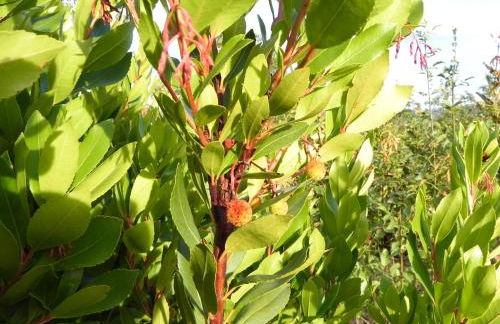 Agriturismo Sugheretello - Foto 37