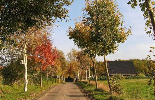 Holiday Home Bungalow Hechthausen by Interhome - Photo 18