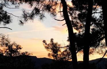 Le Chausse à Brès Chambre d'hôtes 2 - Foto 17