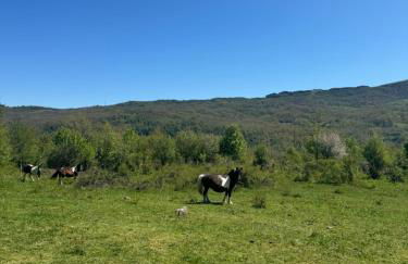 Casa di nonno Agostino - Foto 13