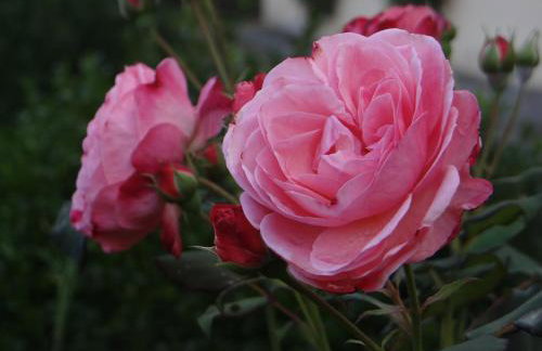 Klostermühle - Foto 18