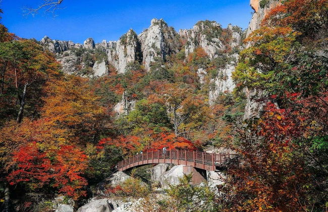 Excursão a Seoraksan - Foto 3