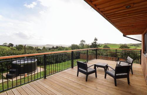 Mynydd Y Glyn Lodge - Foto 26