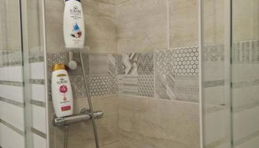 Casa Leo Malpensa - Foto 3, Shower