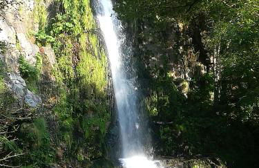 Apartamentos lagunas - Foto 8