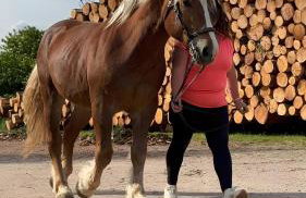 Fleischmannhof Do san ma dahoam - Photo 30