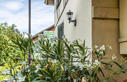 Omas Obstkiste - Foto 20