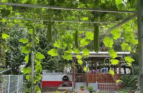 Oppiner Straße 14 Trotha - Foto 51