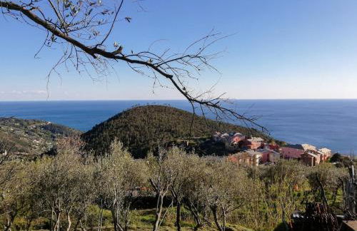 La notte sull'isola - Montaretto - tra il cielo e il mare - Foto 39