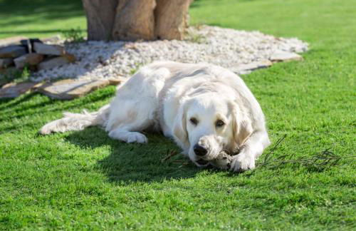 Exclusivo Chalet a Pie de Costa - Foto 9