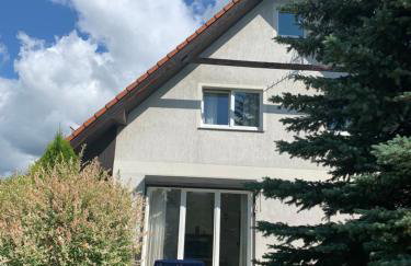 Agro-szyszynka - Foto 24