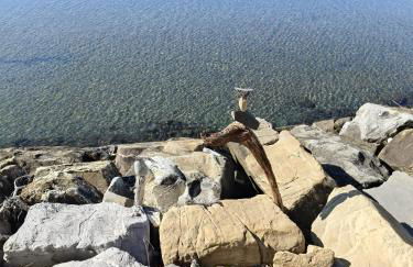 Bistrot del mare - Foto 80