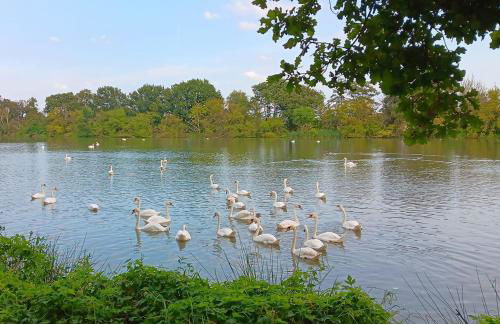 Spreequartier - Foto 18