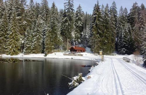 Apartment, 2 bedrooms, kitchen+2 bathrooms - Photo 18