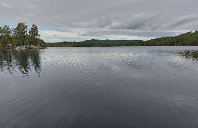 Forest Family Home - Foto 44