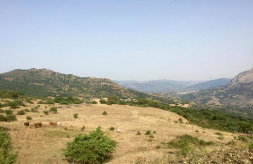 Feudo Galefona - Foto 67