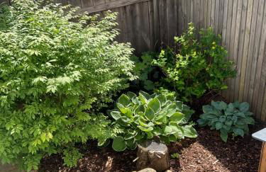 Torsten´s Home - Foto 39