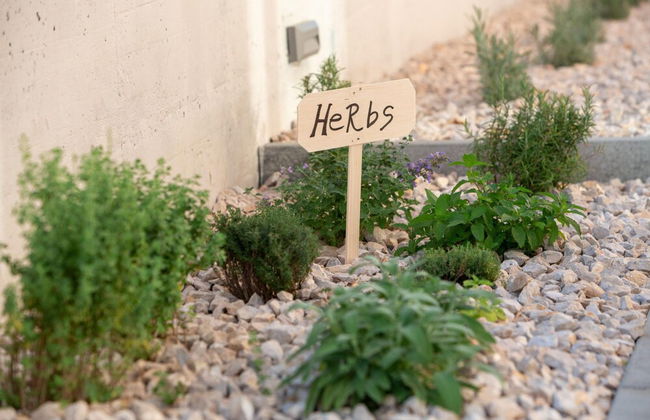 Villa Roberta Zadarvillas - Foto 57