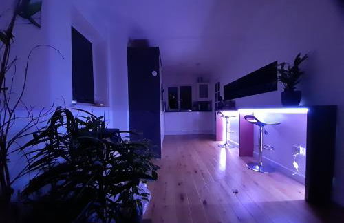 Sunny-side-up - Foto 25