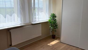 Appartement 1 - Einzimmerwohnung mit Küche und Bad - Foto 4
