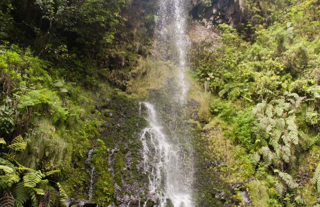 Hiking Tour Around the Caldeirão Verde Levada - Photo 6