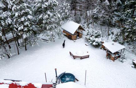 Chata Pod Lasem - Foto 70