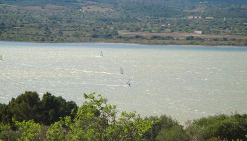 Leucate,cadre arboré,ombragé,sous les cyprès - Foto 2