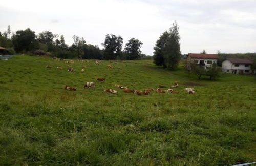 Ferienwohnung Fischerhof - Foto 9