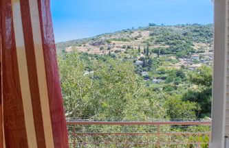 George's Panoramic View - Photo 42