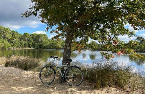 BASSIN D'ARCACHON, Maison vacances climatisée au calme, proche plage - Foto 48