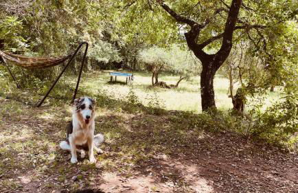 Chalet avec piscine privée dans la forêt - Foto 30